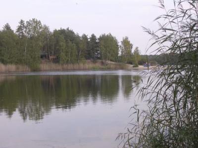 Der Rückersdorfer See